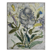 Edit Toaso, Bird of Paradise