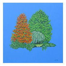 Jill Iliffe, The Beauty of the Trees (Near Water)