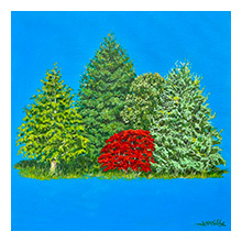 Jill Iliffe, The Beauty of the Trees (Red Bush)