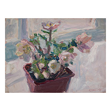 Lynne Cartlidge, Hellebore